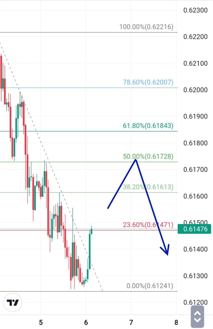 Analisa Forex Harian NZDUSD 6 Desember 2023
