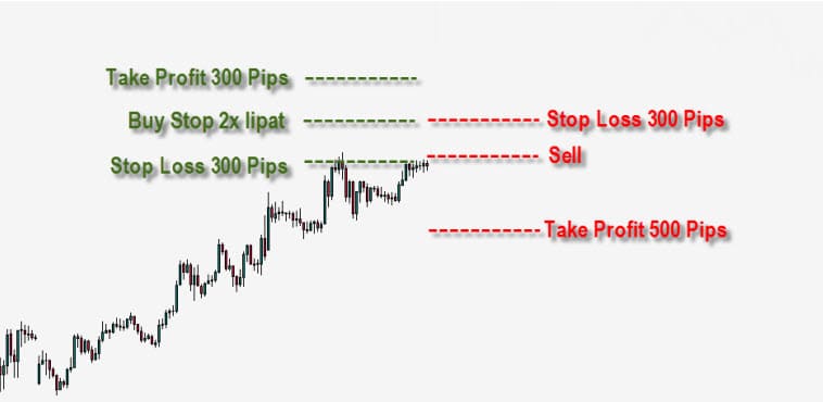 Forex, Trading Forex, Broker Forex Indonesia, Broker Forex Terpercaya,Trading Forex Indonesia,broker forex legal di indonesia,broker forex legal,FOREXimf