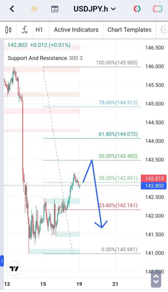 Analisa-USDJPY-Hari-Ini-19-12-2023