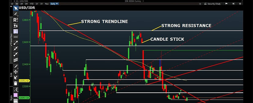 Rahasia Sukses dibalik trading