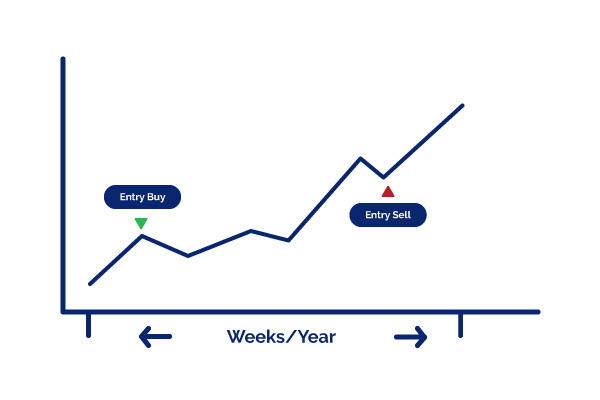 Position Trader