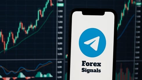 Trading Forex Indonesia