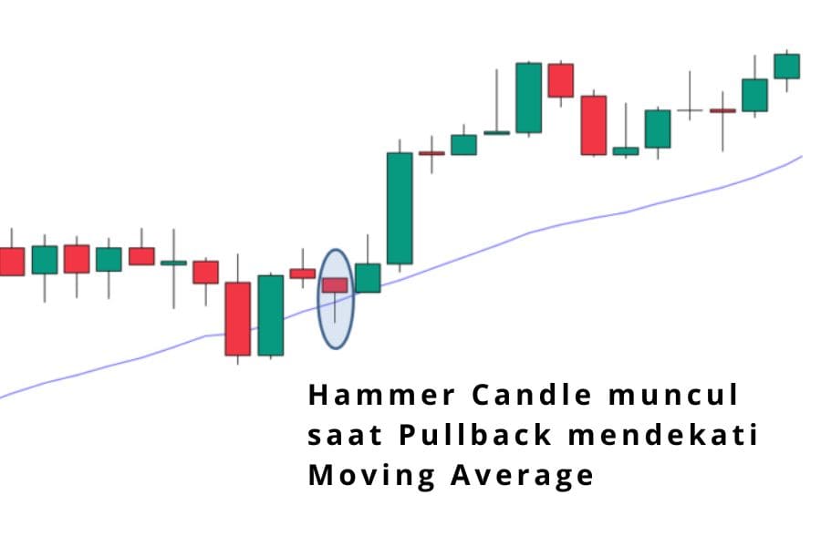 Hammer muncul di titik support