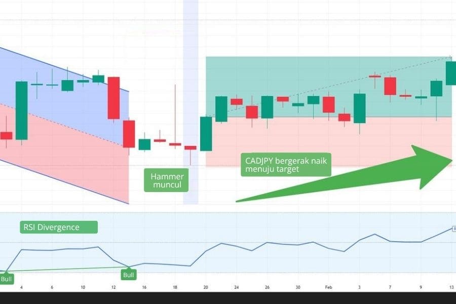 HAmmer candle RSI