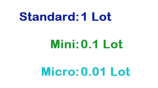 Lot Standar Mini Micro