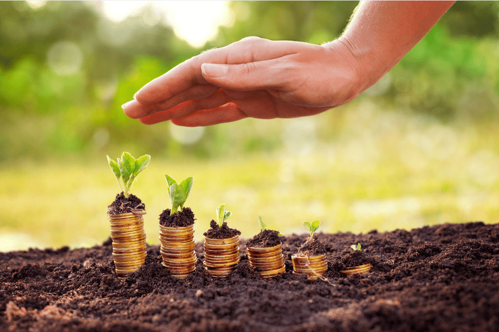 Trading itu seperti Berkebun