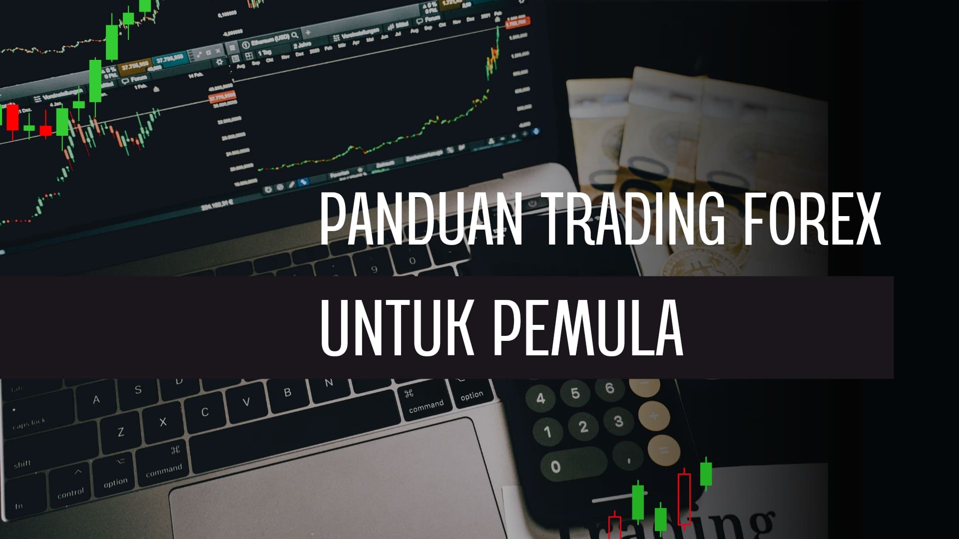 Rekomendasi aplikasi trading forex buat pemula