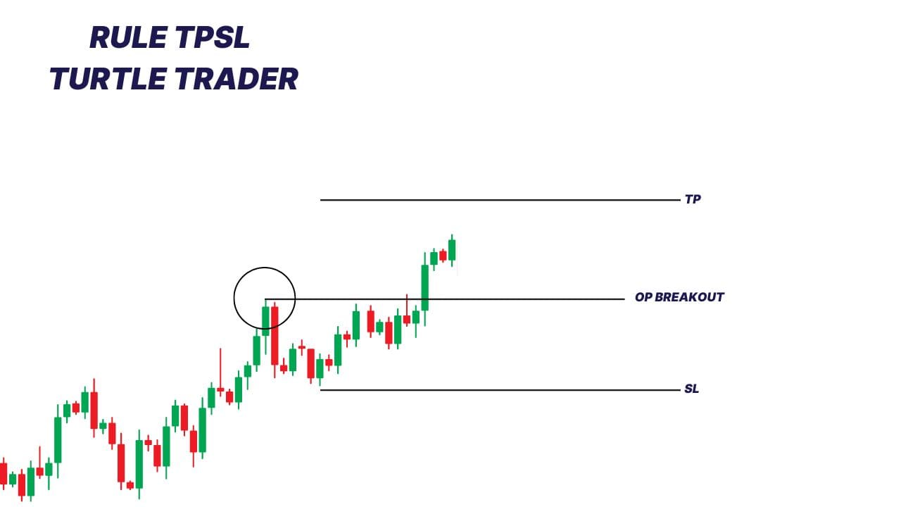 Rule TPSL Turtle Trader