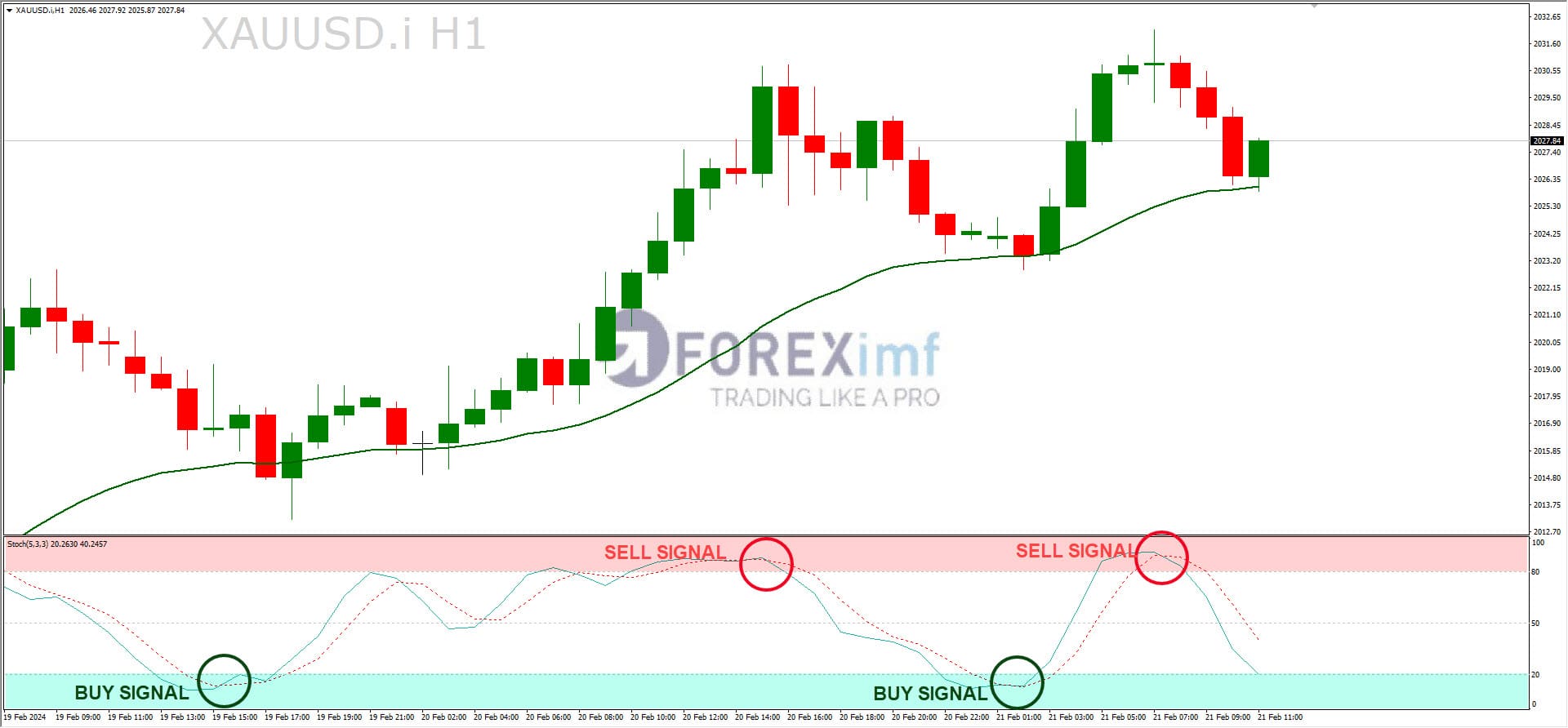 Forex, Trading Forex, Broker Forex Indonesia, Broker Forex Terpercaya,Trading Forex Indonesia,broker forex legal di indonesia,broker forex legal,FOREXimf