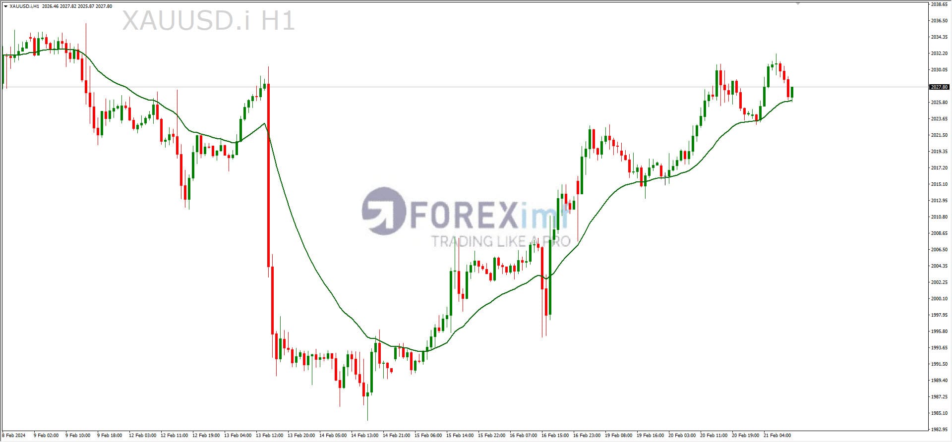 Forex, Trading Forex, Broker Forex Indonesia, Broker Forex Terpercaya,Trading Forex Indonesia,broker forex legal di indonesia,broker forex legal,FOREXimf