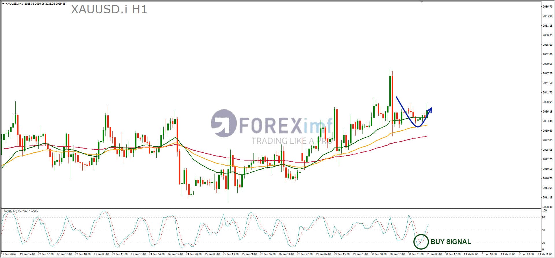 Forex, Trading Forex, Broker Forex Indonesia, Broker Forex Terpercaya,Trading Forex Indonesia,broker forex legal di indonesia,broker forex legal,FOREXimf