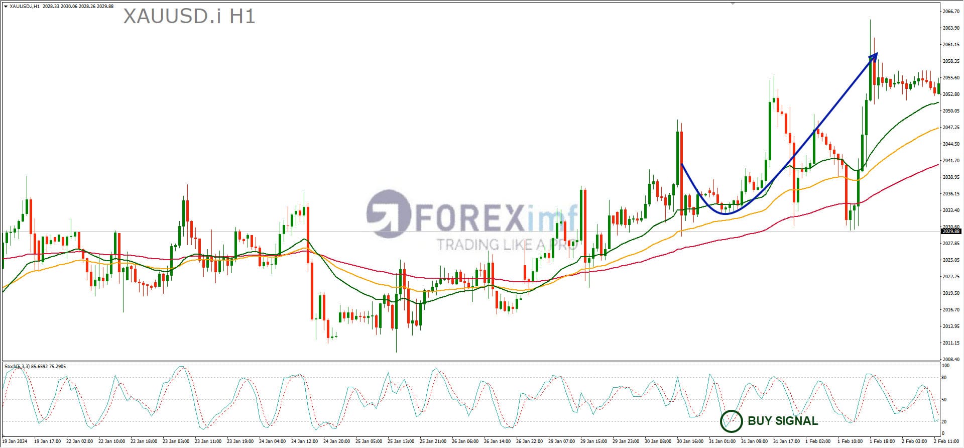 Forex, Trading Forex, Broker Forex Indonesia, Broker Forex Terpercaya,Trading Forex Indonesia,broker forex legal di indonesia,broker forex legal,FOREXimf