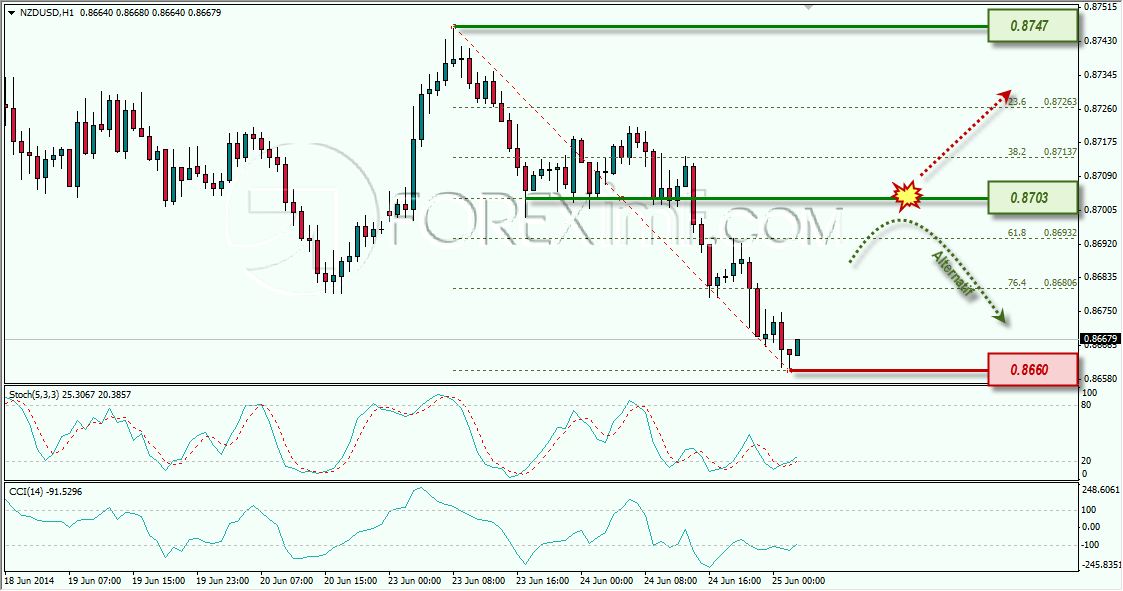 NZDUSD FOREXIMF 25-06-2014 8-09-21