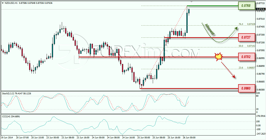 NZDUSD FOREXIMF 26-06-2014 8-17-15