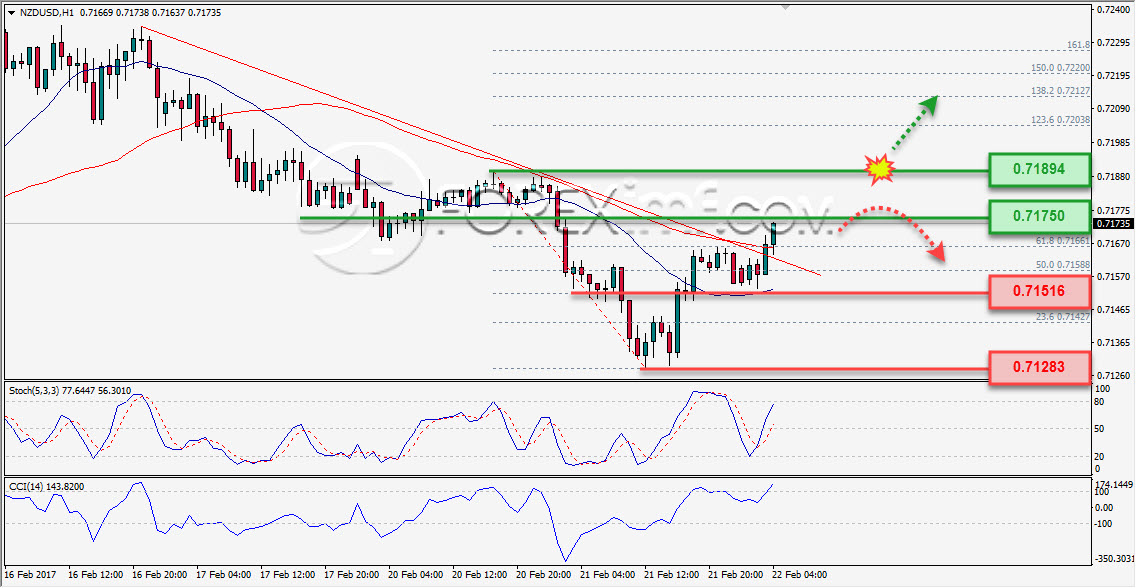 NZDUSD 22 Februari 2017