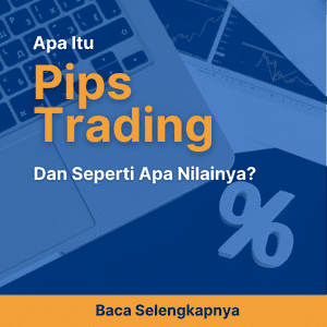 Apa Itu Pips Trading dan Seperti Apa Nilainya?