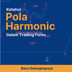 Apa Sih Pola Harmonic dalam Trading Forex itu, Ketahui Disini
