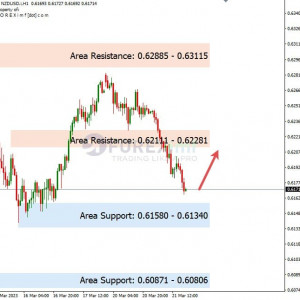 NZDUSD Uji Support, Potensi Kembali Rebound