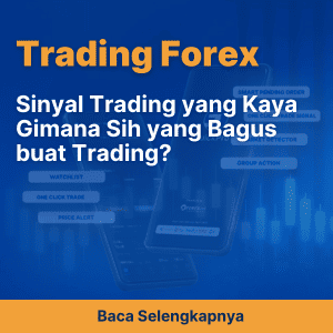 Sinyal Trading yang Kaya Gimana Sih yang Bagus buat Trading?